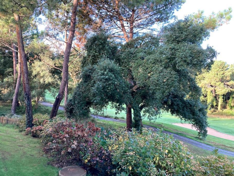 Vue Golf Dans Residence Nature "Sympalappart" Moliets-et-Maa Kültér fotó